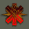 Medic Combat Badge (医疗兵战斗徽章)
