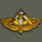 Knife Combat Badge (匕首战斗徽章)
