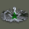 Command Badge (指挥徽章)
