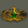 Command Badge (指挥徽章)
