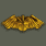 Aviator Badge (飞行员徽章)
