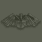 Aviator Badge (飞行员徽章)
