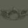 Grappling Hook Specialist Badge (抓钩专家徽章)
