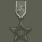 Bronze Star (铜星勋章)
